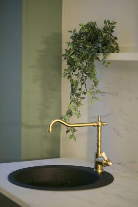 Royal Room Jacuzzi Haut De Gamme Centre Ville ミュルーズ エクステリア 写真