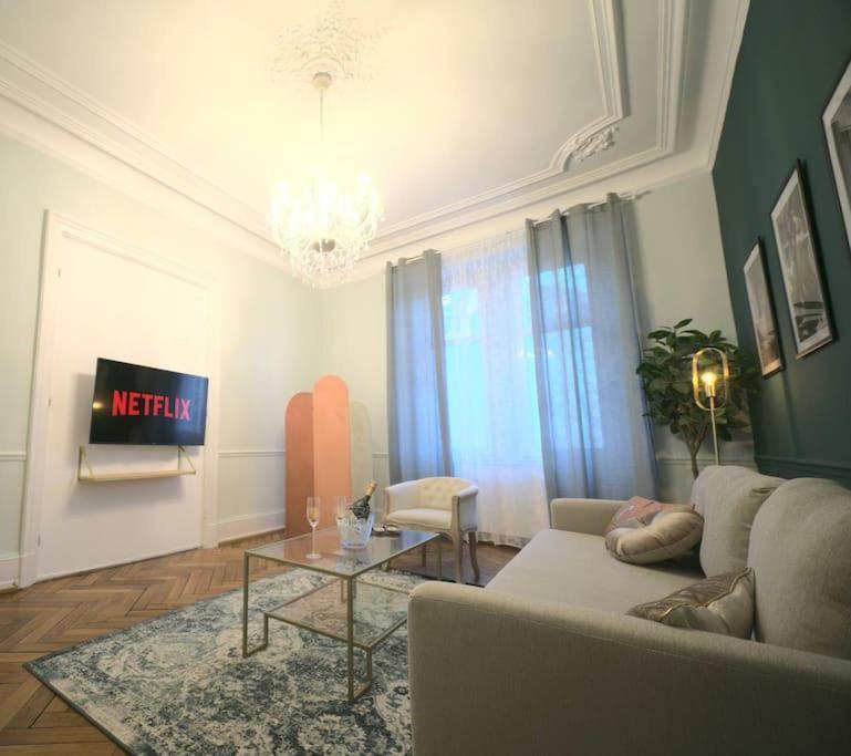 Royal Room Jacuzzi Haut De Gamme Centre Ville ミュルーズ エクステリア 写真