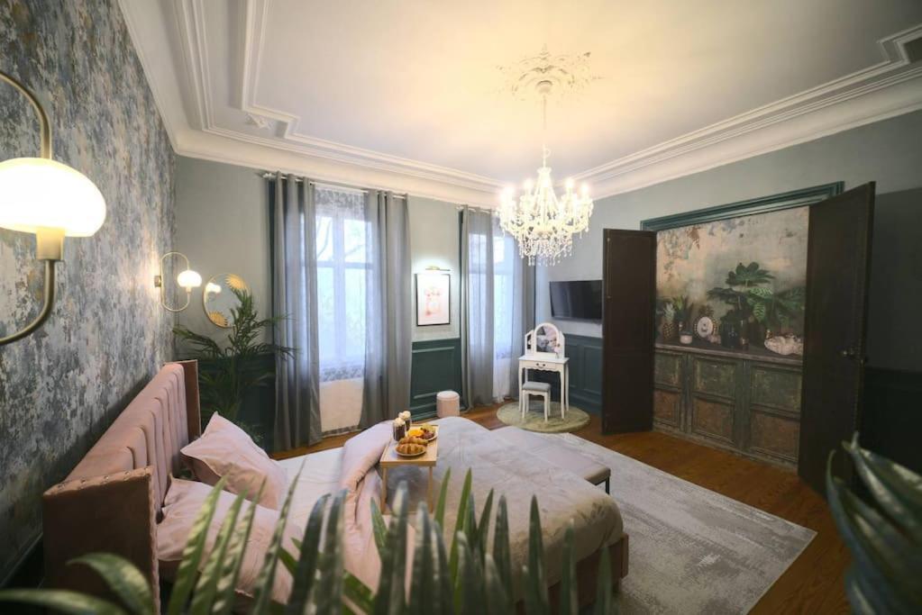 Royal Room Jacuzzi Haut De Gamme Centre Ville ミュルーズ エクステリア 写真